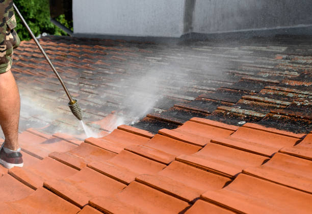 Best Affordable Power Washing  in Lake Arrowhead, CA